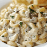 Creamy Pasta Dishes